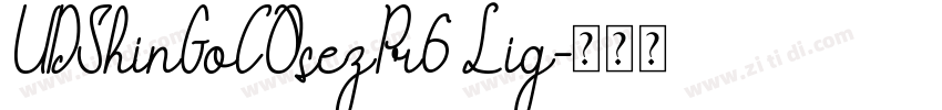 UDShinGoCOsezPr6 Lig字体转换
